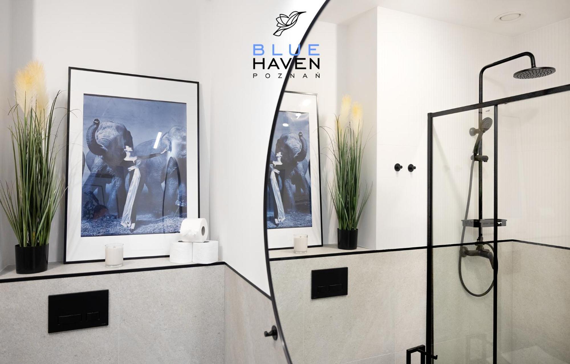 And Blue Haven * Poznan